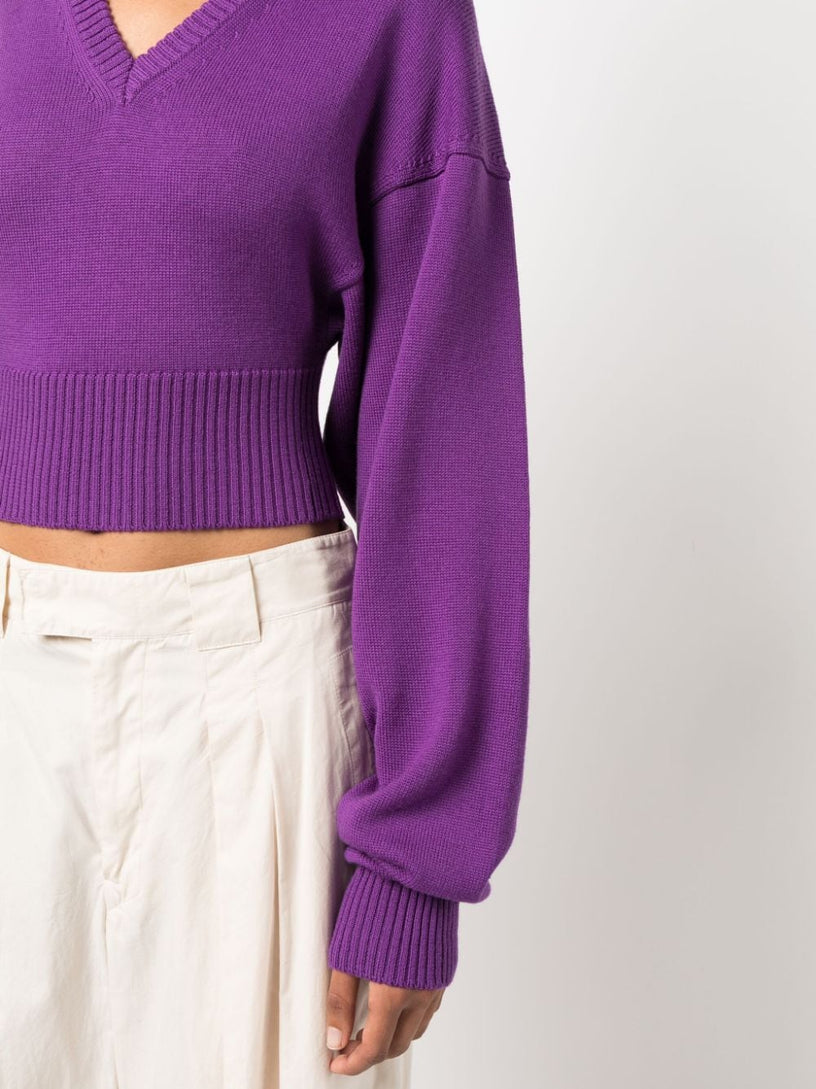 Sportmax Pomez sweater