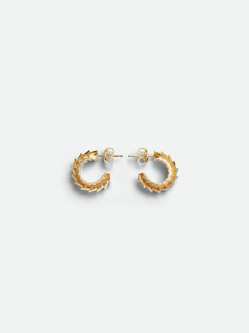 Window earrings