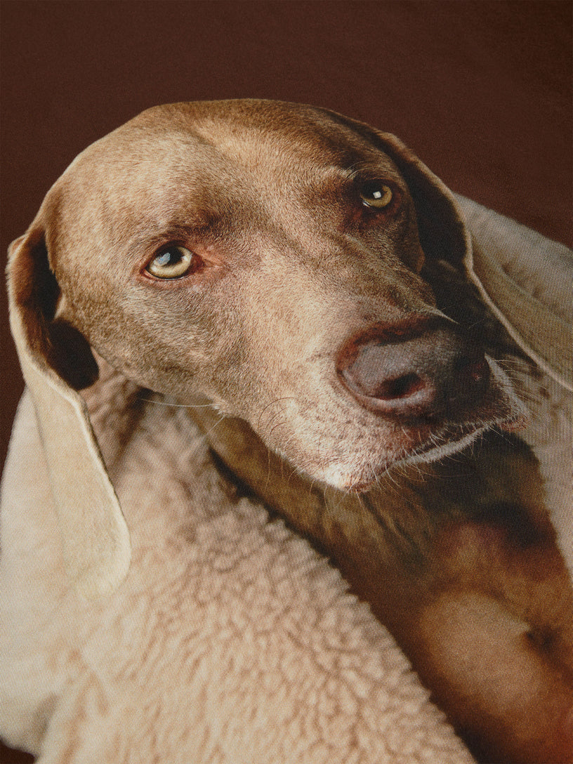 Teddy Dog scarf