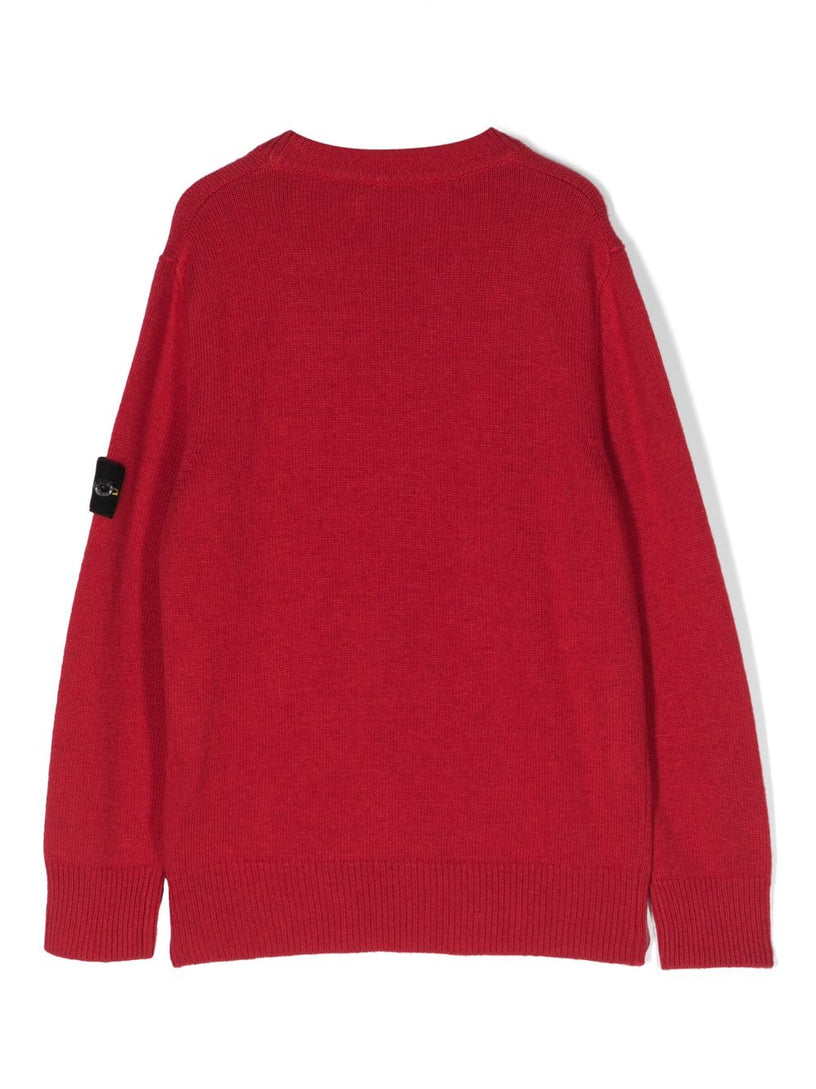 Compass-badge crew-neck jumper