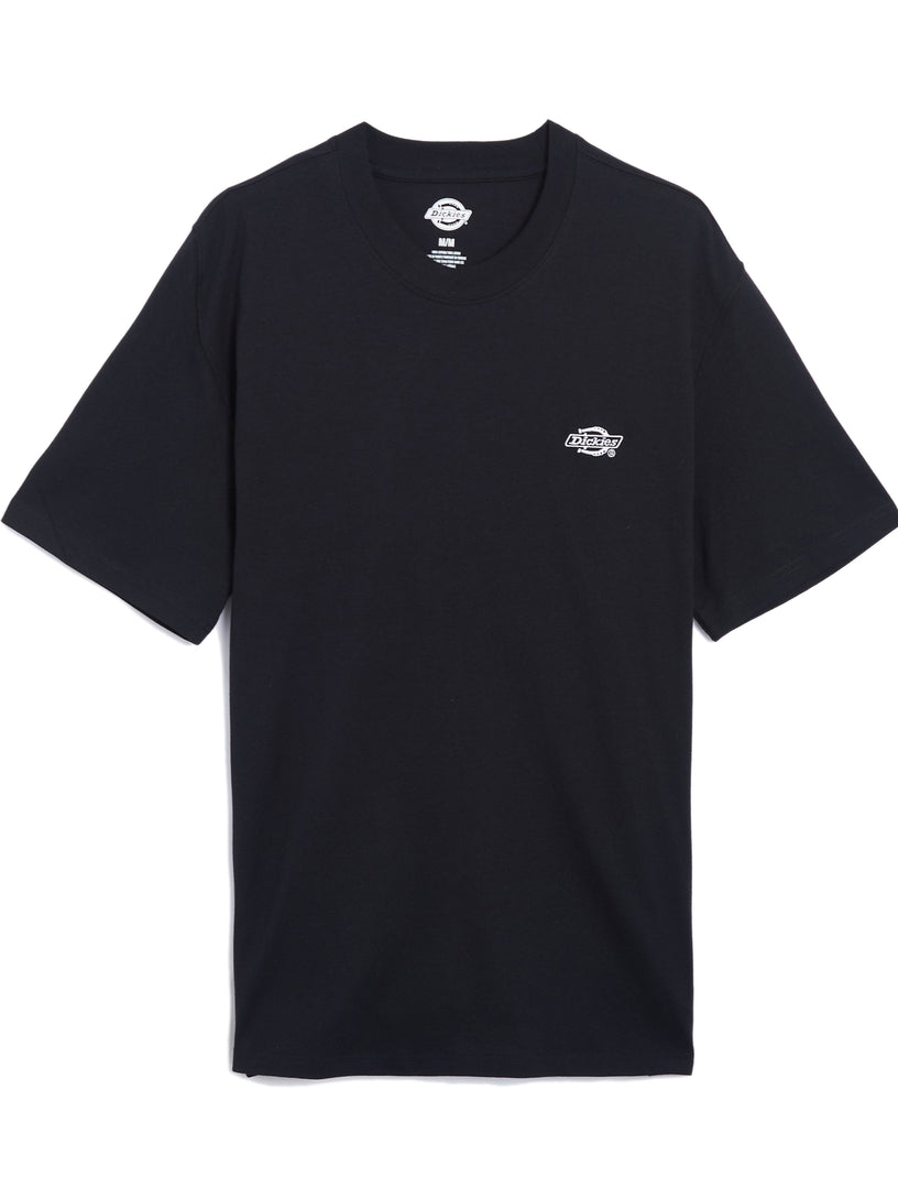 Dickies T-shirt summerdale