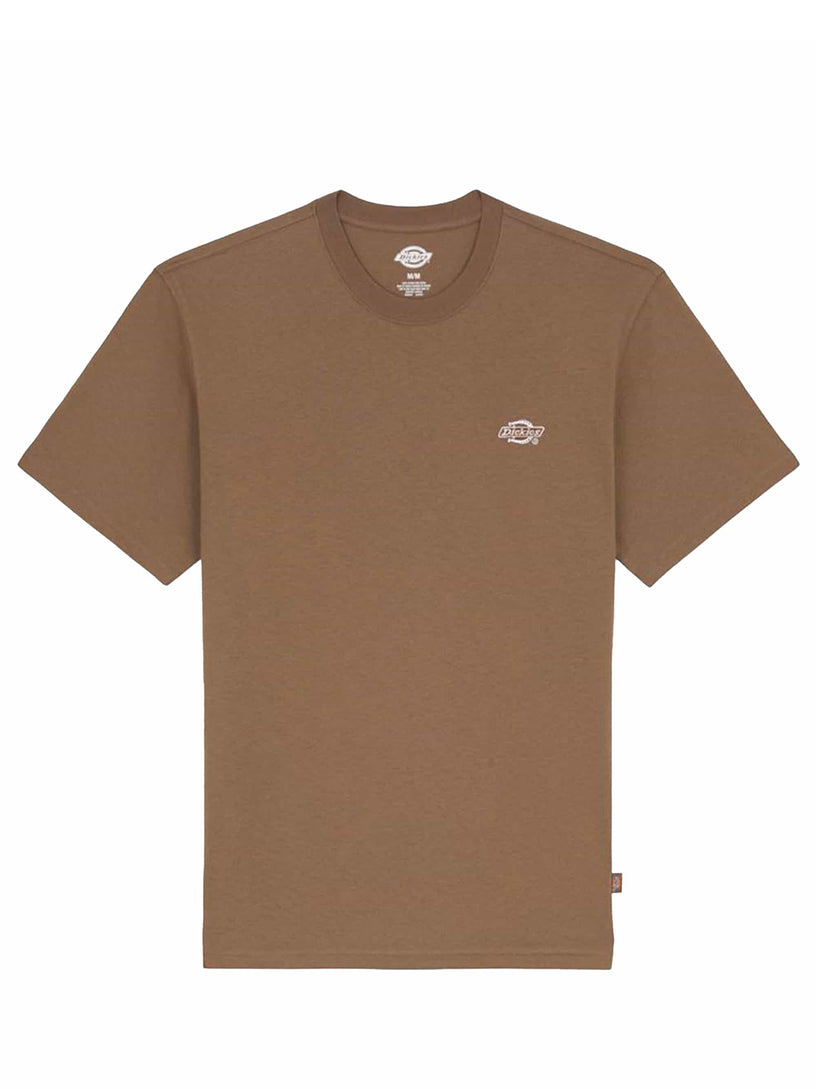 Dickies T-shirt summerdale