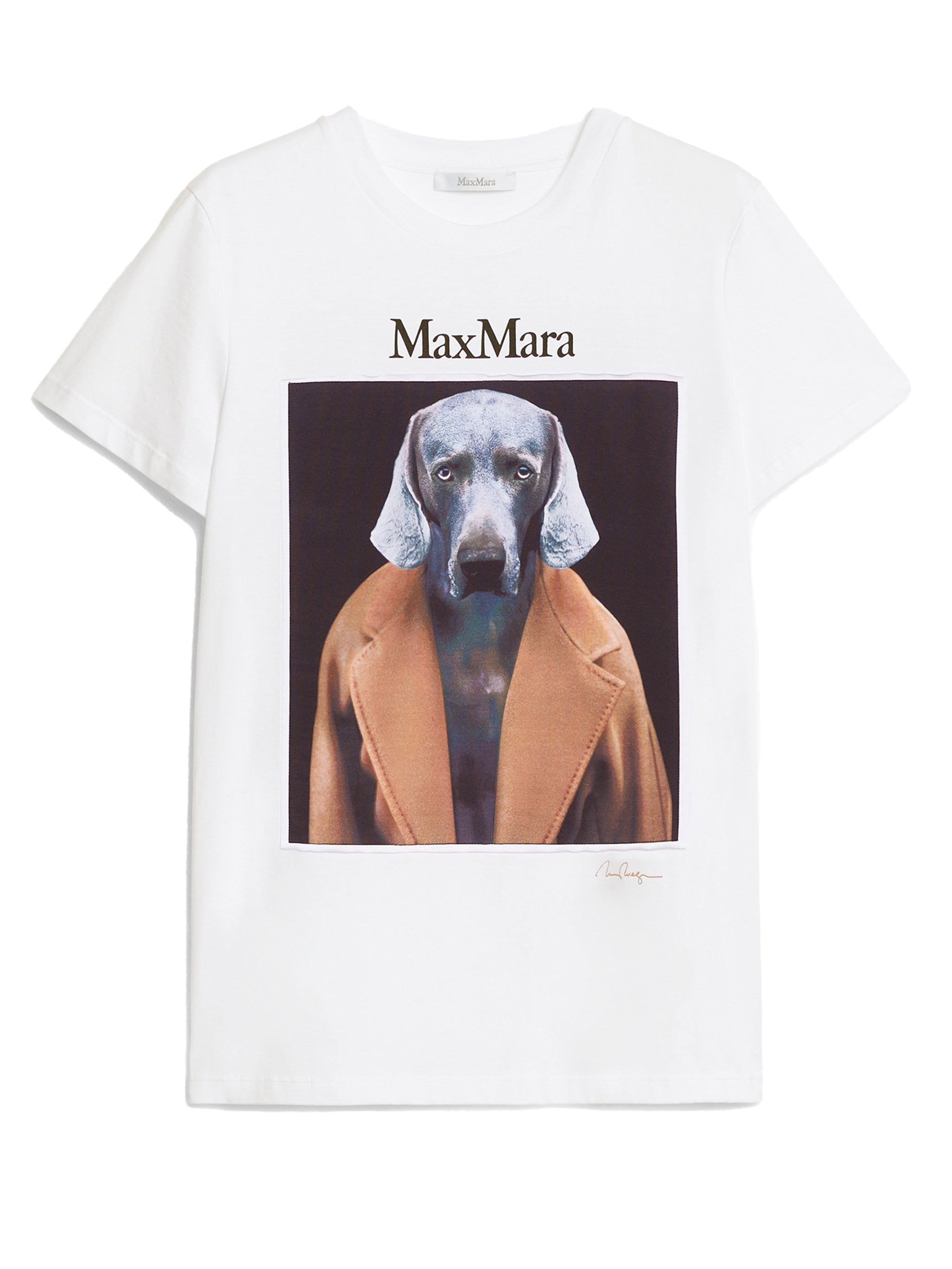 Cipria T shirt Max Mara Bianco Grifo210