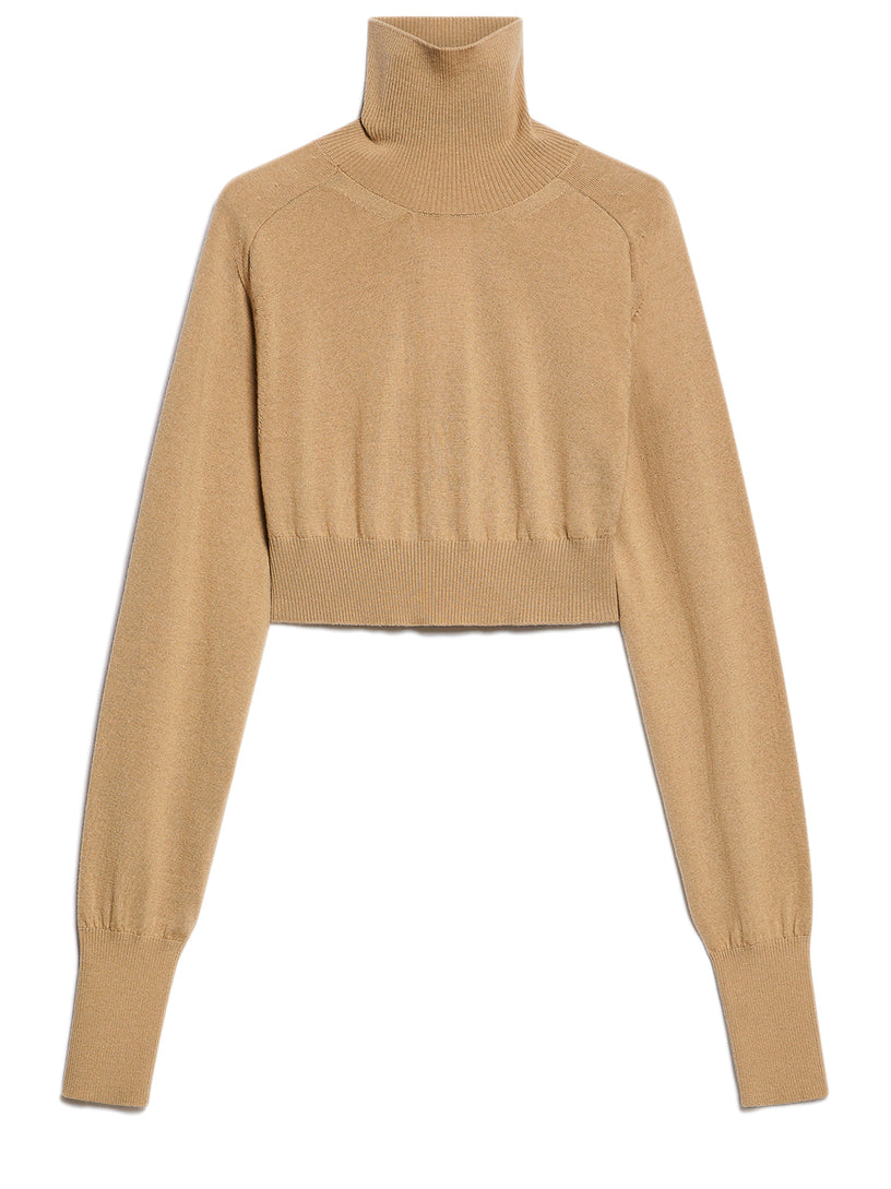 Sportmax Howling cropped turtleneck sweater