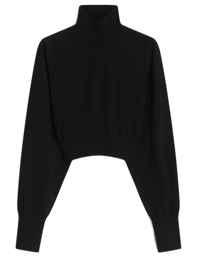 Sportmax Howling cropped turtleneck sweater