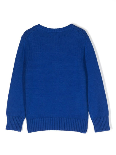 Polo Bear Jumper