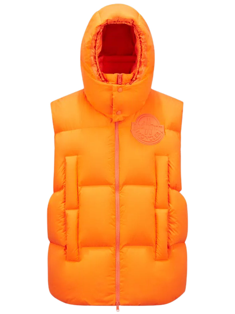 Apus Down Vest