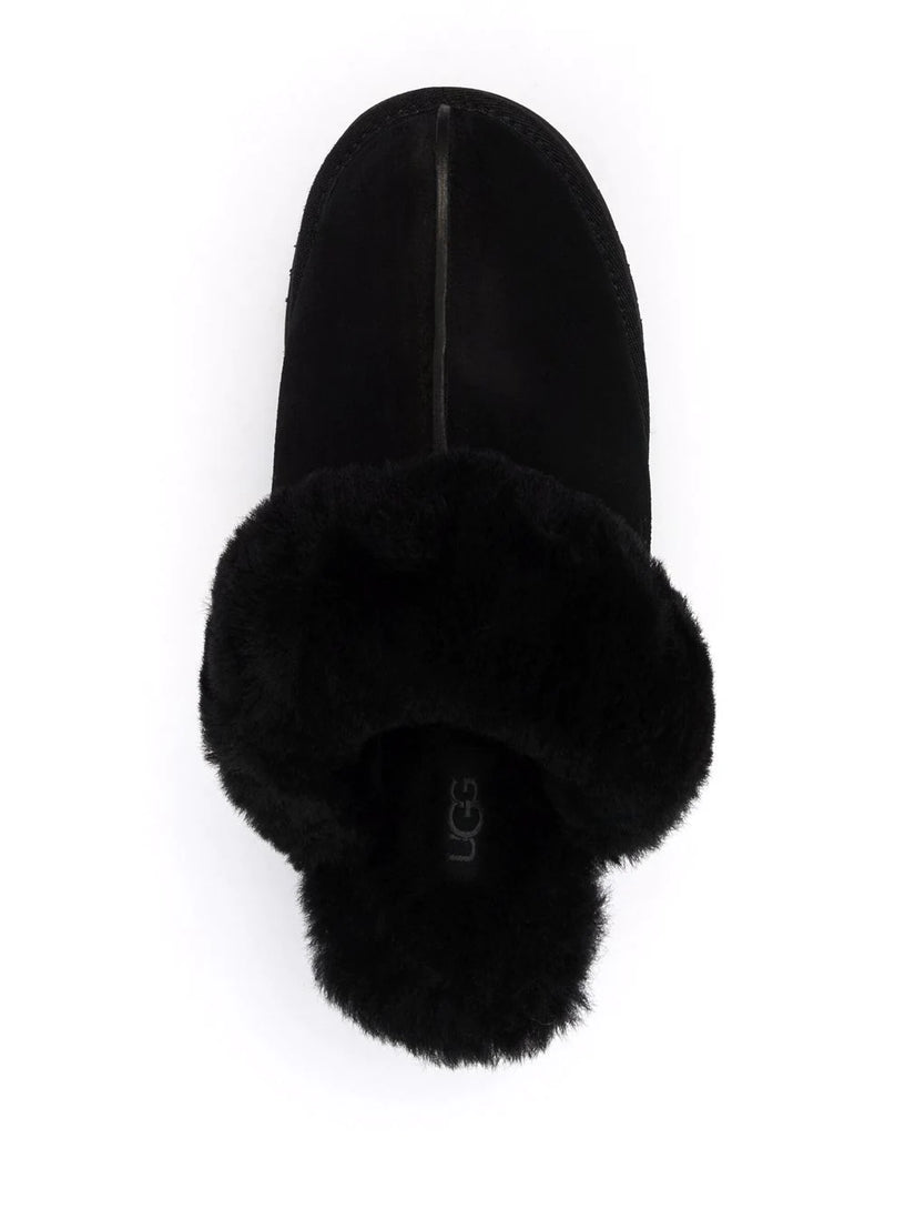 Disquette Slipper