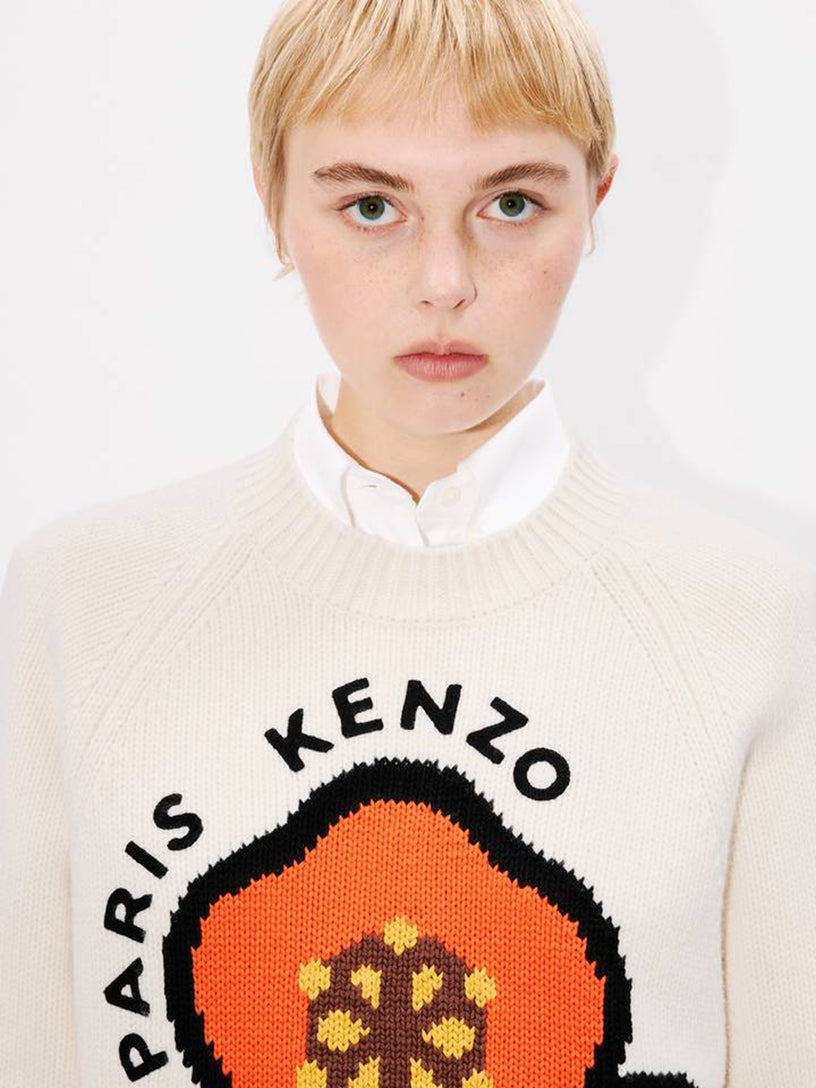 'KENZO Pop' wool and cotton sweater