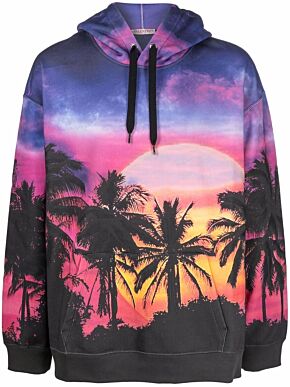 Palmscape hoodie